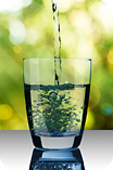 Natürliches Heilwasser im Glas